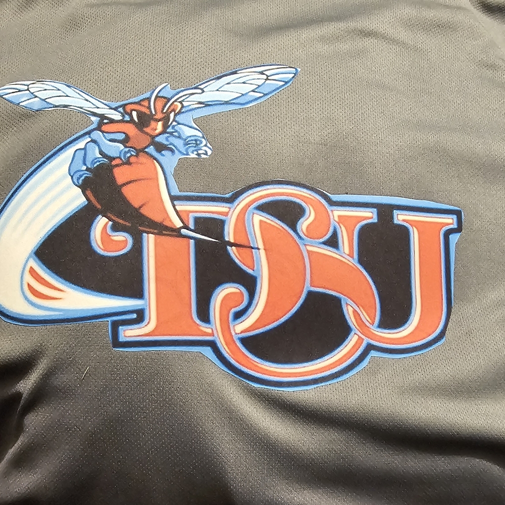 Delaware State Hornet's A Long Sleeve Tee with Blue and Red  Graphic